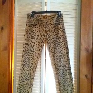 Dollhouse gold/black Leppard print